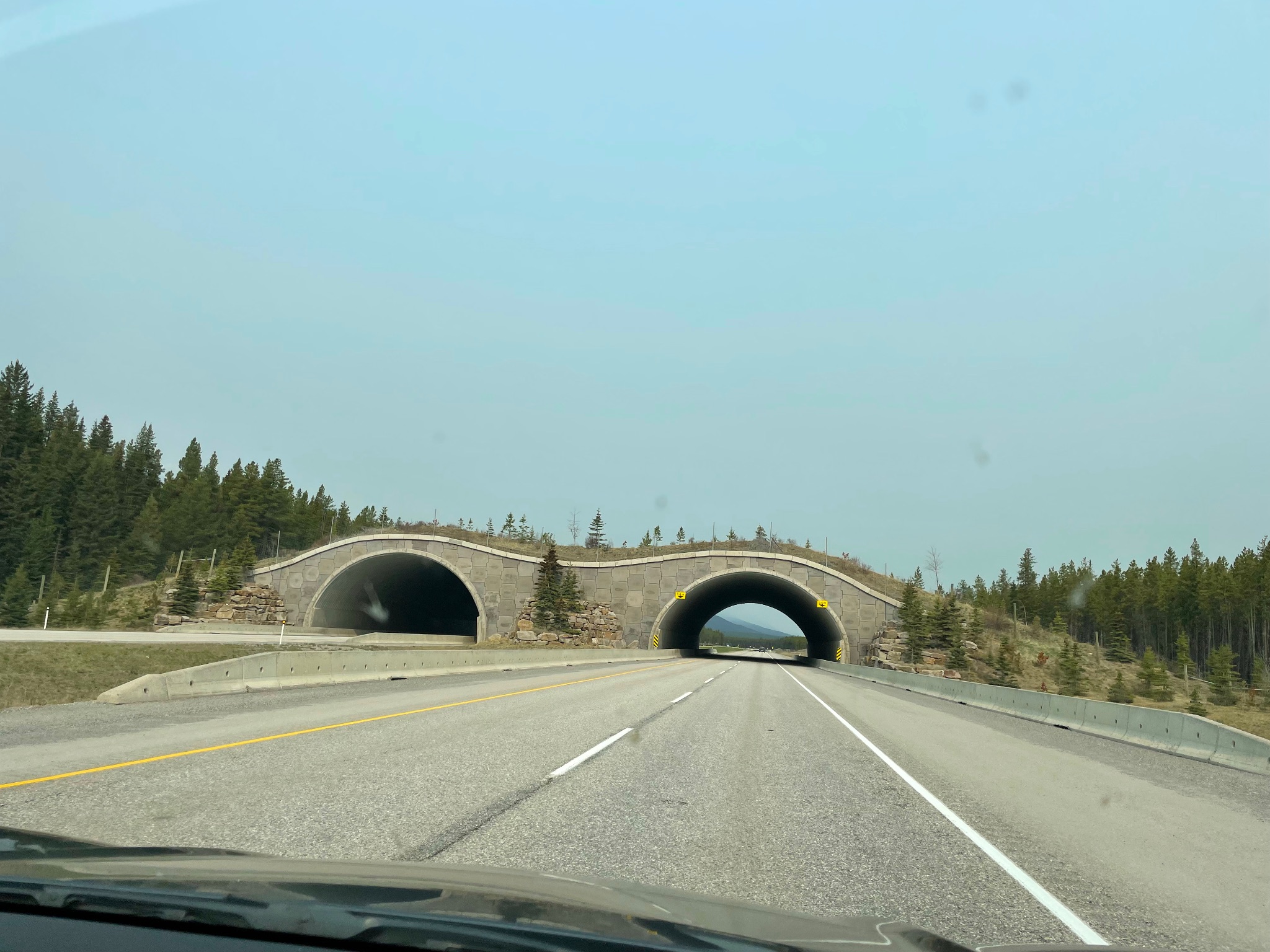 Overpass for wildlife.