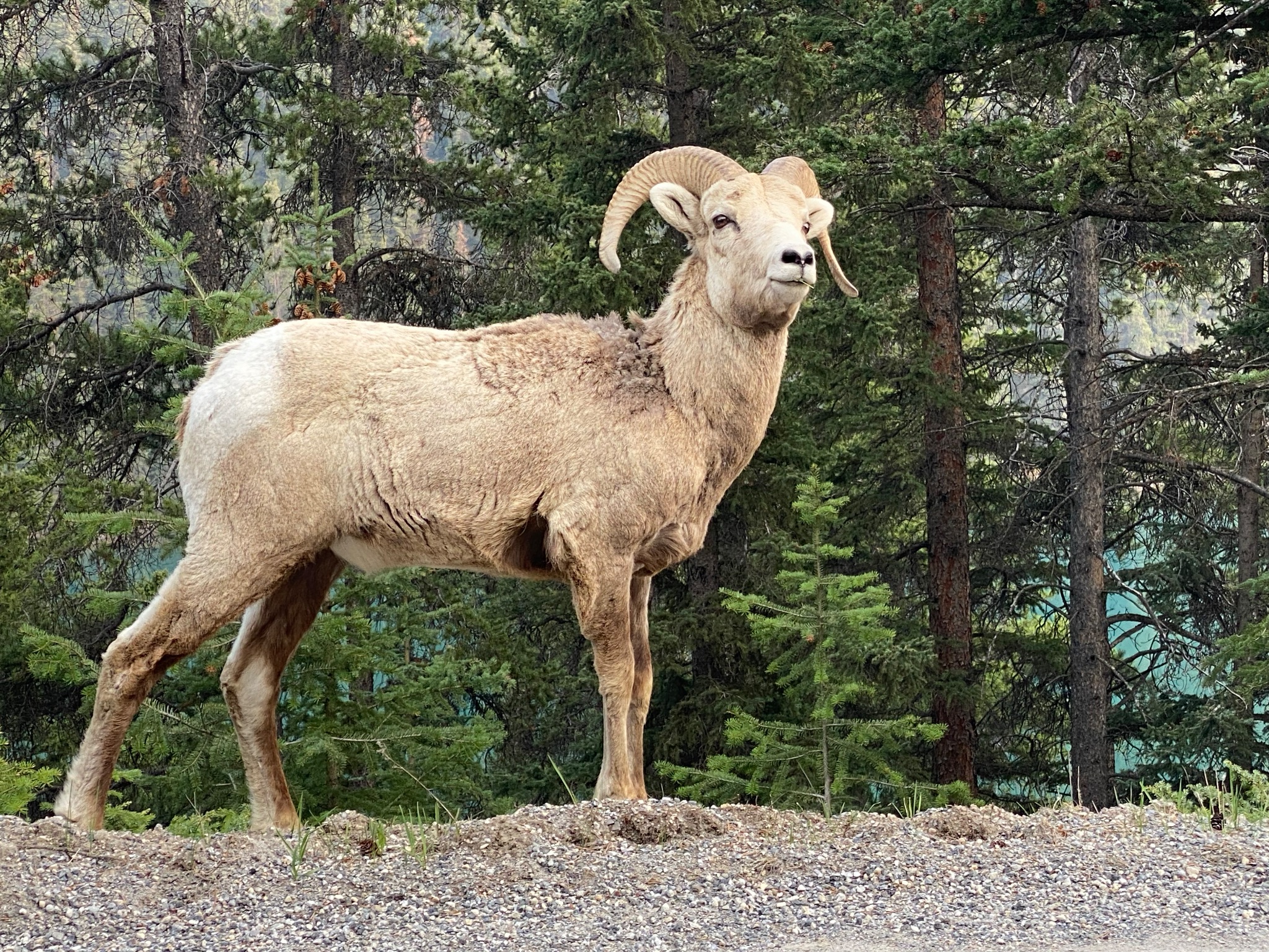 Banff Canada 2023