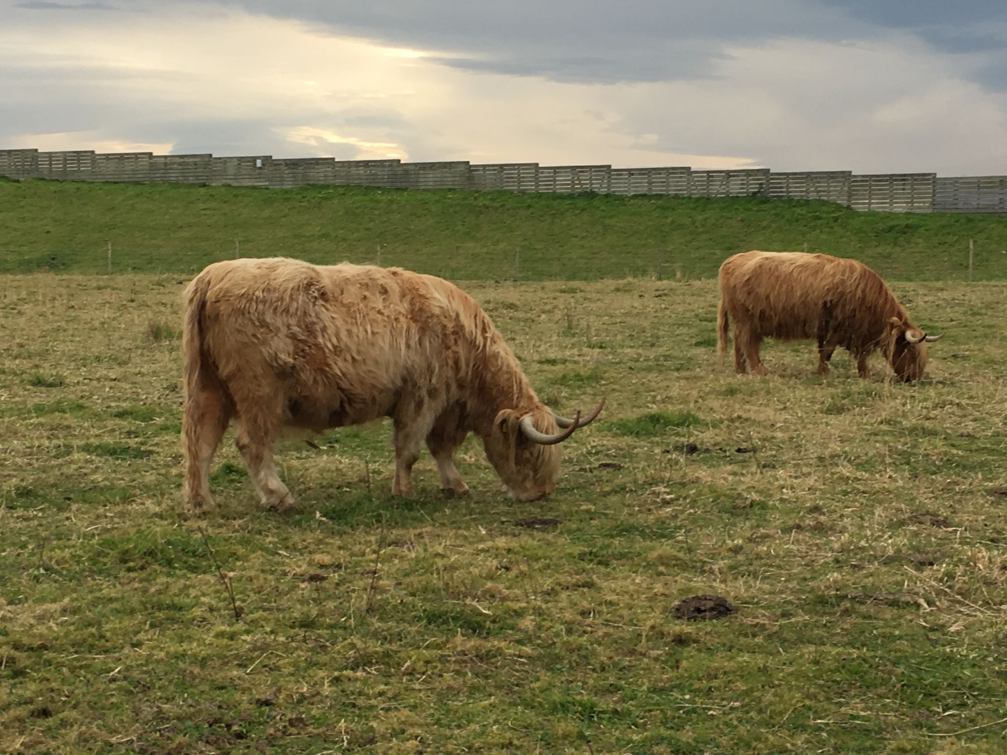 Inverness - Culloden Moor and Battlefield
