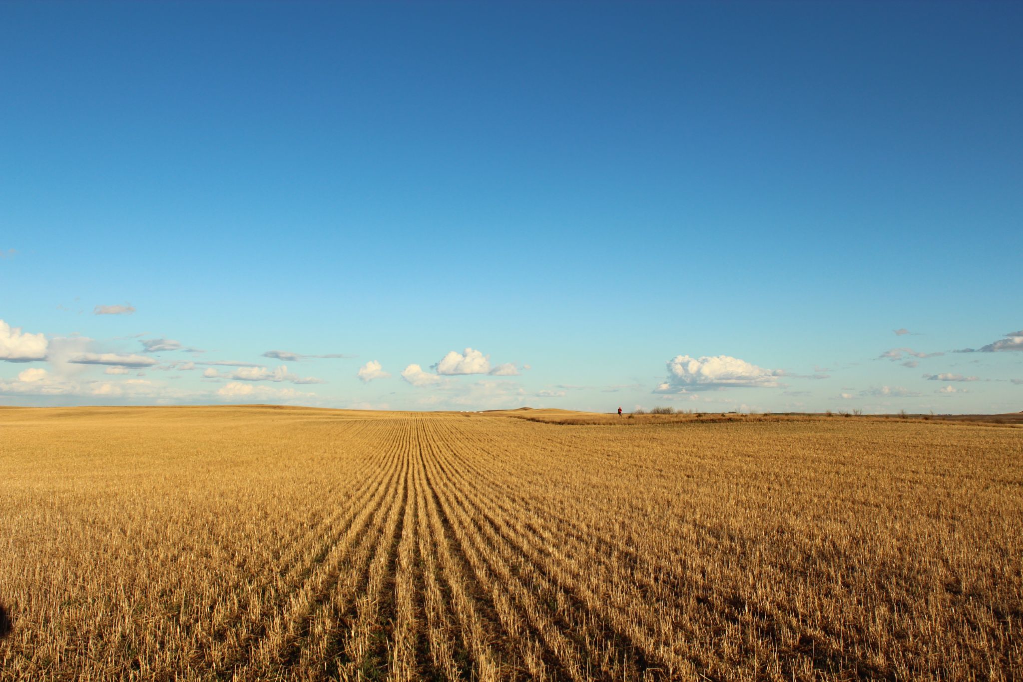 North Dakota