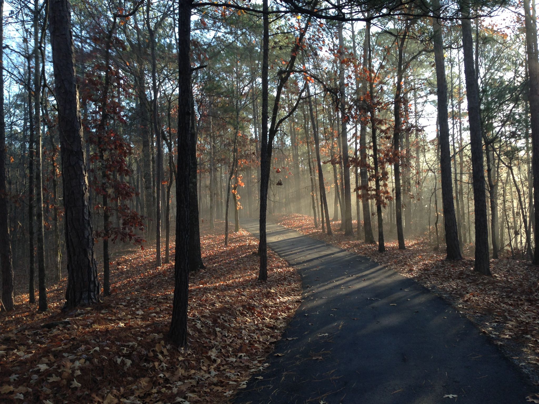 Adcock Road